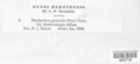 Image Associated With the Occurence